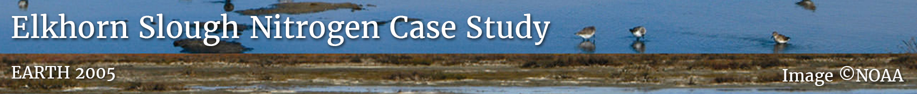 lesson_banner-es