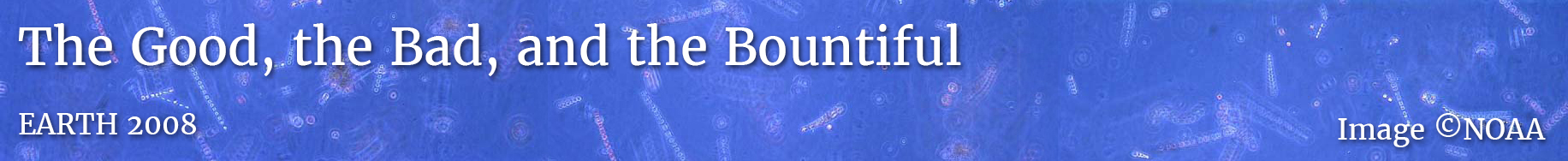 lesson_banner-gbb