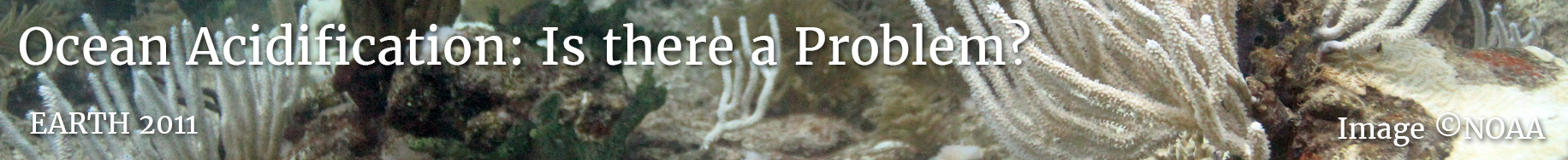 lesson_banner-oa