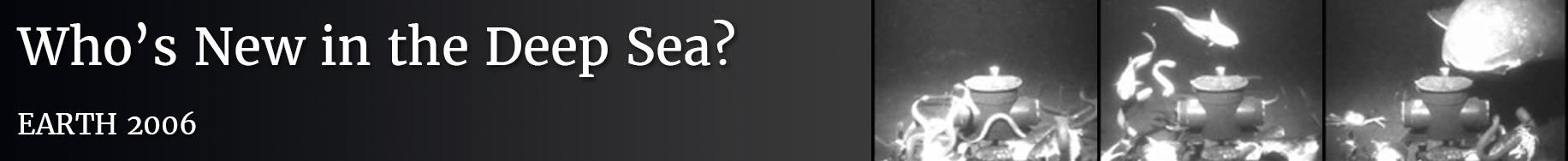 lesson_banner-wn