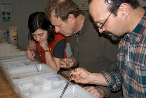 Ron Kaufmann, Larry Lovell and Stephanie Bush sort MOCNESS samples. Photo by Debbie Nail Meyer.