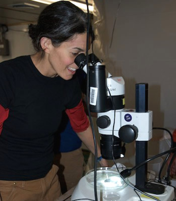 Alana Sherman looks at the first sample from a Lagrangian sediment trap released under iceberg C-18A. Photo by Debbie Nail Meyer.