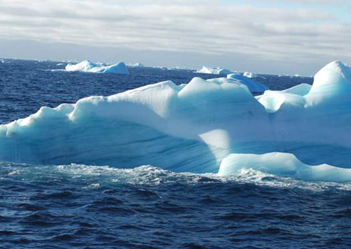 A blue-streaked iceberg floats among the many we saw while passing through