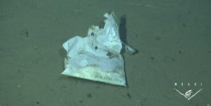 Potato chip bag