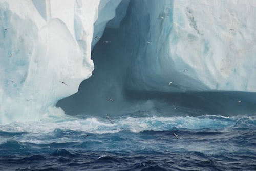 Seabirds in flight around an iceberg in the Weddell Sea. Photo by Johnny Pierce.