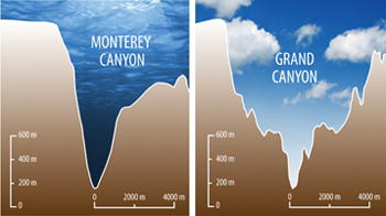 canyon_comparision