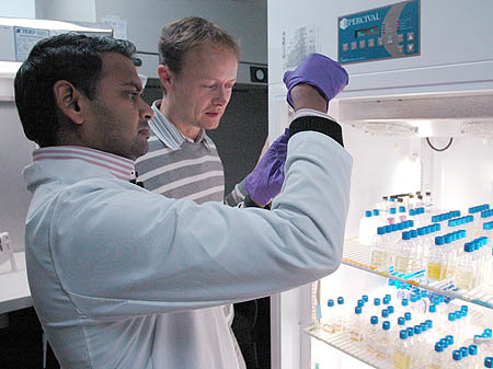 Visiting researcher Gurdeep Rastogi, left,and MBARI Research Specialist Sebastian Sudekthey check algae samples in the Worden lab specimen collection.