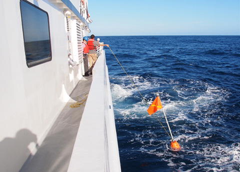 A grappling hook is thrown over the line between the spar buoy and the first float.  The spar buoy is then led to the aft of the ship where it can be recovered.  Photo: Carola Buchner.