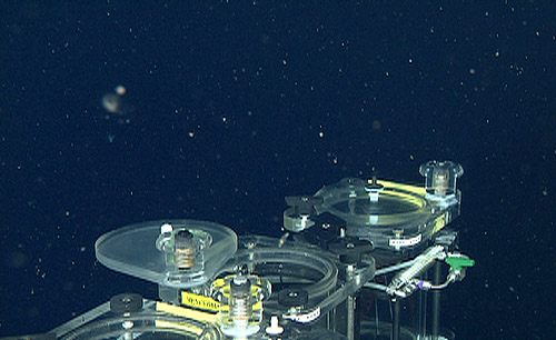 Two of the detritus samplers on the remotely operated vehicle (ROV) Doc Ricketts.
