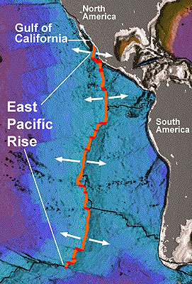 From: NOAA http://upload.wikimedia.org/wikipedia/commons/4/44/Earth_seafloor_crust_age_1996.gif