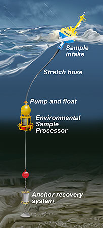 esp-whoi-450