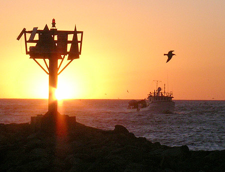 lobos-sunset1-450