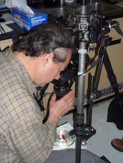 David Liittschwager photographs the large bioluminescent mysid, Gnathophausia.
