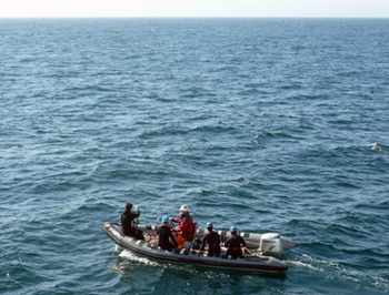 Perry Shoemake drives the small boat a short distance away from the Western Flyer. Steve Haddock will deploy a dive buoy and all the divers will be clipped onto a line as they collect organisms in small jars.