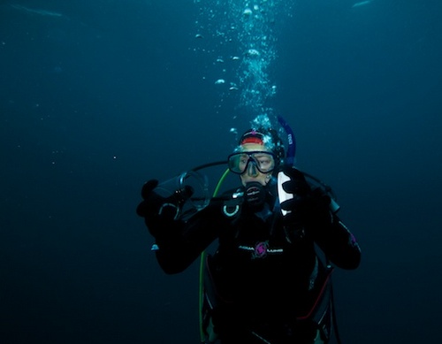Olivia Judson captures a ctenophore on the first blue-water dive of the expedition.