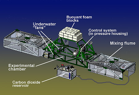 foce-seafloor-450