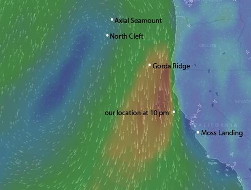 wind vectors over the northeast Pacific