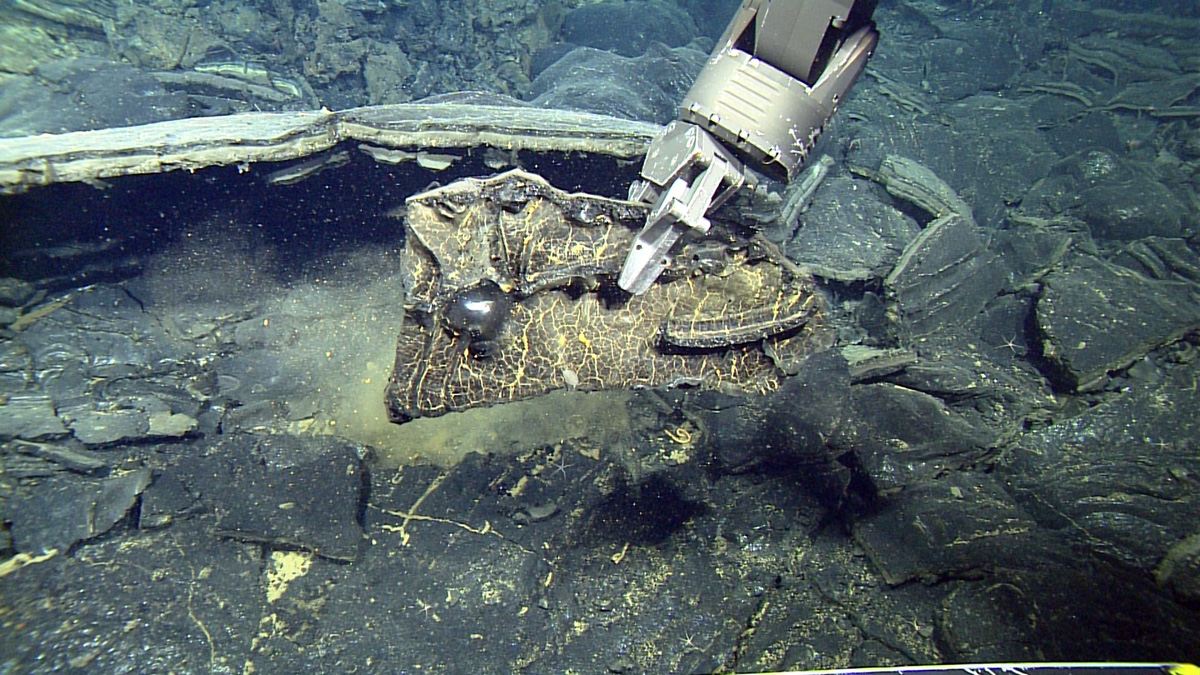 Sample being collected from a drained lobate pillow in one of the flows of the 2015 eruption.