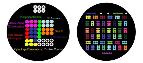 Left, early printing (2000–2013); right, current printing (2014–present).