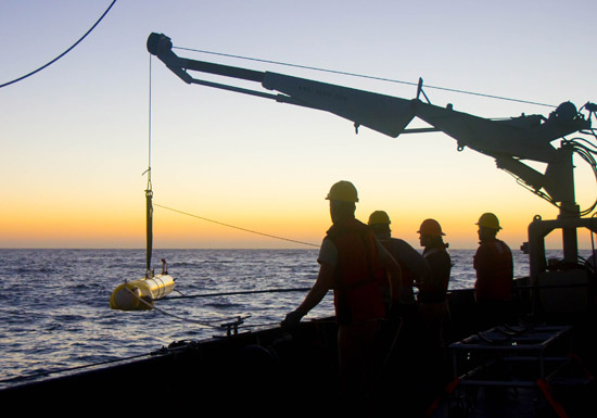 Researchers launch a Remus AUV with a custom sonar system to track beaked whales.