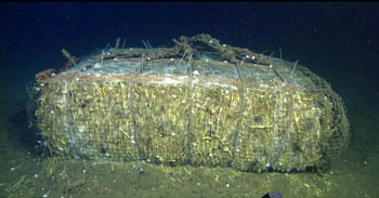 A bale of corn stover (what you have left of a corn plant after harvesting the ears) on the seafloor at a depth of 3,200 meters off central California, as part of a study evaluating the idea that crop debris could be sunk in the ocean as a carbon sequestration effort to mitigate global warming.