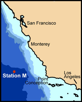 Map of Station M off the California Coast. The darkest shade of blue indicates water that is over 4,000 meters (about 13,100 feet) deep. Image:(c) 2007 MBARI