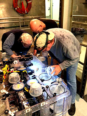 When the ROV is secured on board, the MRS drawer is deployed so the science team can access the samples. Bruce Robison, Rob Sherlock, and Kim recover the Nanomia bijuga from the MRS specimens for further analysis in the lab.