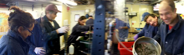 MBARI and NOAA scientists work together to process sediment cores. Some cores are sieved to separate animals from mud, then preserved, while others are subsampled for sediment tracers (organic content, grain size, ATP, other).