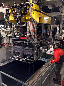 ROV pilot Randy Prickett looks on as the ROV Doc Ricketts is pulled up through the Western Flyer’s moonpool. You can see the MRS at the bottom of the vehicle.
