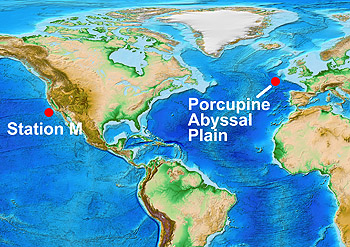 This map shows the locations of the long-term, deep-sea study sites at Station M and the Porcupine Abyssal Plain. Base map courtesy of NOAA (ETOPO1 Global Relief Model)