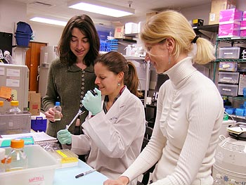 MBARI microbial oceanographer Alexandra Worden (left), along with graduate students Melinda Simmons (middle), and Marie Cuvelier (right) work on Micromonas algae in their laboratory at the Monterey Bay Aquarium Research Institute. Image: Kim Fulton-Bennett (c) 2009 MBARI