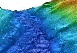 Sidescan sonar image of Monterey Canyon axis. Image: (c) 2005 MBARI