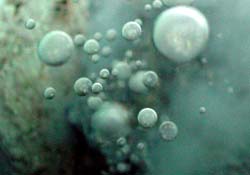 Carbon dioxide bubbles from an underwater volcano. Image: NOAA