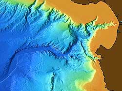 Sediment in Monterey Canyon flows to depths of more than 3,500 meters. Image: (c) 2000 MBARI