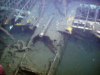 Image credit: (c) 2006 NOAA/MBARI 