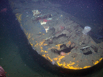 Image credit: (c) 2006 NOAA/MBARI 
