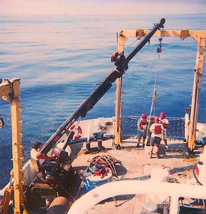 Image credit: (c) 1997 Vicente Ferreira-Bartrina