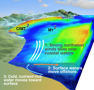 This diagram shows a highly simplified view of upwelling in Monterey Bay. Cold water is shown in blue; warm water is shown in yellow and red. The new CIMT mooring and MBARI's M1 mooring are shown in the background. (c) 2004 MBARI