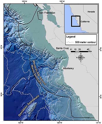 Image credit: NOAA / MBARI