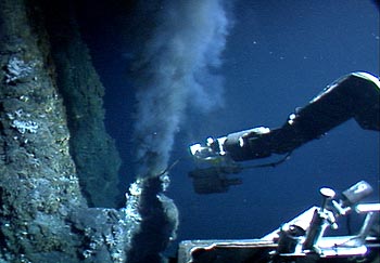 In 2004, MBARI's remotely operated vehicle measured the temperature of water flowing from this hydrothermal vent on the Juan de Fuca Ridge, off the coast of Oregon. During 2007-2008, the deep ESP may be used to study microorganisms in the water around such vents. Image: (c) 2004 MBARI