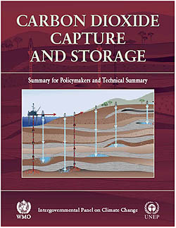 The final IPCC report was released in December 2005.