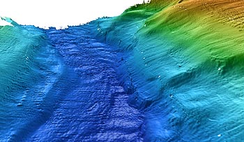 This three dimensional view of the Monterey Canyon channel was made using multibeam bathymetry collected from the solo AUV mission and earlier ROV-based surveys. Image: David Caress (c) 2005 MBARI