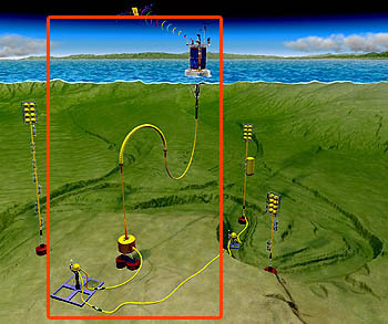 The red box in this illustration highlights the newly-installed surface buoy and undersea instruments that make up the core of MBARI's ocean observatory at the Shepard Meander. Note: The instruments on the seafloor are actually located several kilometers away from the mooring anchor. Illustration: David Fierstein (c) 2004 MBARI