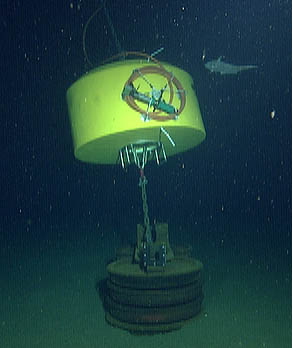 This image taken by ROV Tiburon shows the anchor for the surface buoy (two stacks of railroad-car wheels) and a bright yellow float that keeps the anchor cable off the seafloor. Coiled on the side of the yellow float is the power/data cable from the buoy, with a green underwater plug at the end. ROV Tiburon subsequently attached an