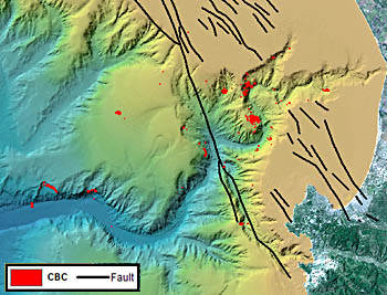 This map of Monterey Canyon shows the locations of chemosynthetic biological communities (CBCs) as red dots. Black lines are faults mapped within the bay. Contrary to scientists' expectations, many of the CBCs are not located near known faults. Image: (c) 2005 MBARI
