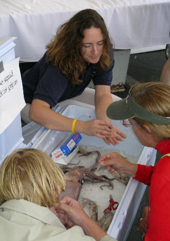 MBARI biologist Karen Osborn shows visitors the inner workings of a humboldt squid. Photo: Kim Fulton-Bennett (c) 2004 MBARI
