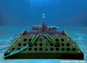 In the next few years, benthic instrument nodes such as this one will begin gathering data for ocean observatories, as described in a recent Ocean Studies Board report. Photo: Todd Walsh (c) 2002 MBARI
