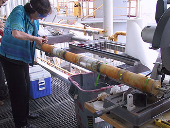 Miriam Kastner of the Scripps Institution of Oceanography works on one of the OsmoSampler arrays recovered from deep in Earth's crust. Photo: (c) 2004 Tabitha Hensley, Scripps Institution of Oceanography