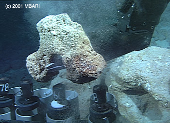 MBARI's remotely operated vehicle Tiburon collects a rock sample from a drowned coral reef off the northwest coast of Hawaii during MBARI's 2001 Hawaii expedition.