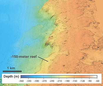 Computer-generated view of the sea bottom off the northeast coast of Hawaii. The 150-meter reef is believed to have drowned about 14,700 years ago, during a period of rapid sea-level rise.